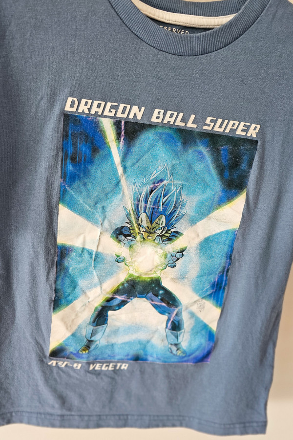 Koszulka chłopięca Dragon Ball 1